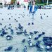 Profile Picture of Bekir Aksoy (@bekir.aksoy.370) on Facebook