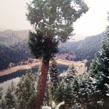 Profile Picture of Zachary Nolen (@zmanwarrior) on Twitter