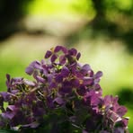 Profile Picture of Tina Hal (@Tina-Hal) on Facebook