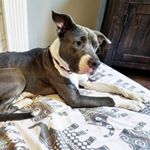 Profile Picture of Stuart Watkins (@ewandsw) on Instagram