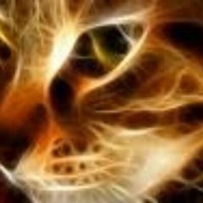 Profile Picture of Julianna B Jenkins (@Jenkinsj434) on Twitter