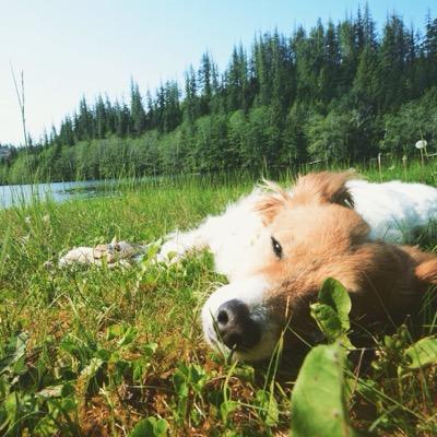 Profile Picture of Philippe Nick (@philippenick) on Twitter