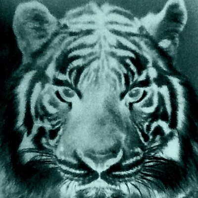 Profile Picture of Gavin Ferris (@OmniArch007) on Twitter