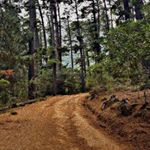 Profile Picture of Jamie Mckinney (@jamiemckinneyf2) on Instagram