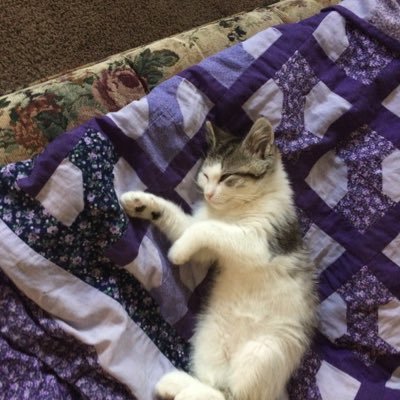 Profile Picture of Jeff Steen (@JeffSteen9) on Twitter