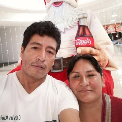 Profile Picture of Jose Luis Flores Aranibar (@JoseLui31288878) on Twitter