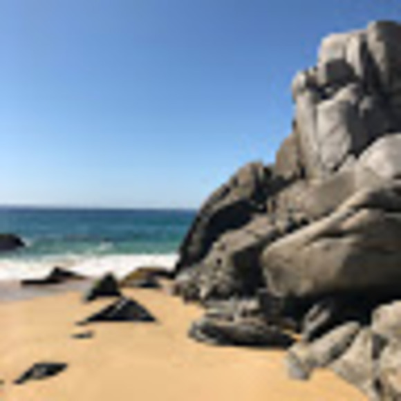 Profile Picture of Dale Pliva (@dalepliva) on Poshmark