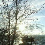 Profile Picture of Nicholas Barella (@drakegemini) on Instagram