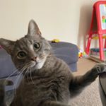 Profile Picture of pat conover (@patconover) on Instagram