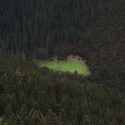 MartinHuang - Twitter Profile Picture of MartinHuang (@MartinHuang19) on Twitter