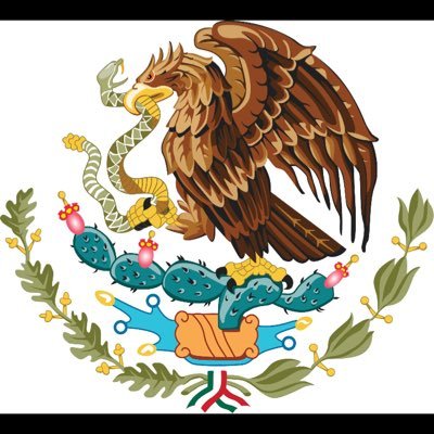 Profile Picture of Tomas Cantu (@enlinea205) on Twitter