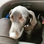 Profile Picture of Darrell Stuart (@stuart.darrell) on Instagram