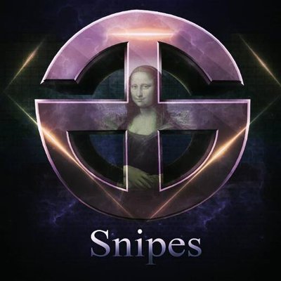Profile Picture of Mr_Snipes_Plays (@NicholasBenoit2) on Twitter