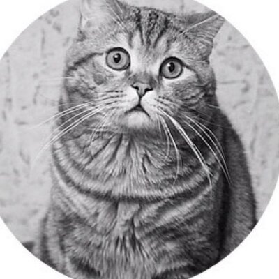 Profile Picture of Елена (@ElenaPolyakova_) on Twitter