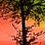 Profile Picture of Jumber  Rumapea (@jumber rumapea) on Flickr