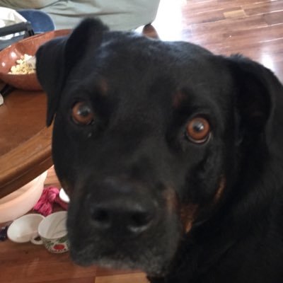 Profile Picture of Trudy Irvine (@trudysirvine) on Twitter