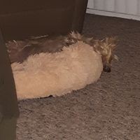 Profile Picture of Beverly Steele (@beverly-steele-24) on Quora