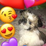 Profile Picture of Lacey❤️ (@laceyy_oneil) on Instagram