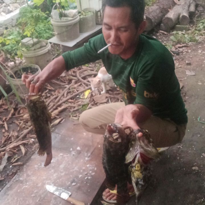 Profile Picture of Ahmad Ayubi (@ahmad.ayubi74) on Tiktok