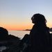 Profile Picture of Paula Rowell (@paularowell2) on Pinterest