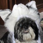 Profile Picture of Cathy Barber (@barbercj53) on Instagram