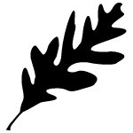 Profile Picture of Paul Schindler (@Schindlers_LM) on Twitter