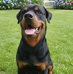 Profile Picture of Marjorie Alexa Villacres (@alexandra.villacres.9041) on Facebook