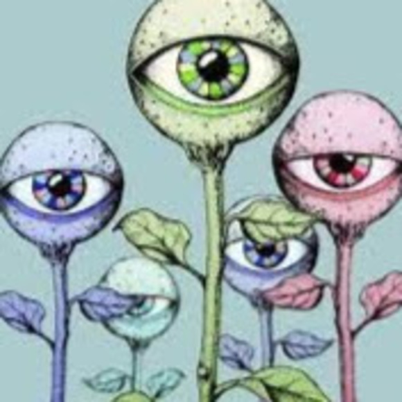 Kate Bolthouse - Poshmark Profile Picture of Kate Bolthouse (@kbolthouse9) on Poshmark