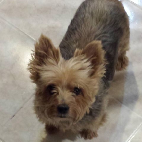 Profile Picture of Jennifer Nastase (@jennifernastase) on Poshmark