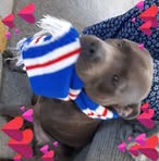 Profile Picture of Joyce Milroy (@Joyce-Milroy) on Facebook