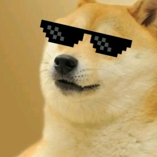 Profile Picture of David Klos (@zasran.cz) on Tiktok