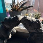 Profile Picture of Hendrik & Richard the Hippos (@hippo_henri) on Instagram