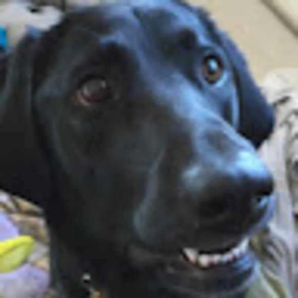 Profile Picture of Stacey Keahon (@staceykeahon) on Poshmark