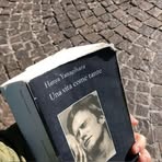 Profile Picture of Zoe Haught (@Zoe-Haught) on Facebook