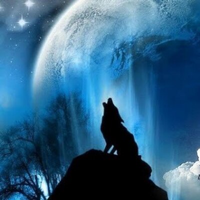 Profile Picture of Coty Davis (@cotyrocks12345) on Twitter