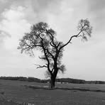 Profile Picture of Christopher Wakeman (@Christopher-Wakeman) on Facebook