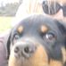 Profile Picture of Brad Jarratt (@brad.jarratt.16) on Facebook
