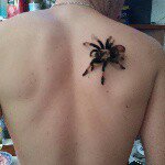 Profile Picture of sasa (@sasa.stefanovic.334) on Instagram