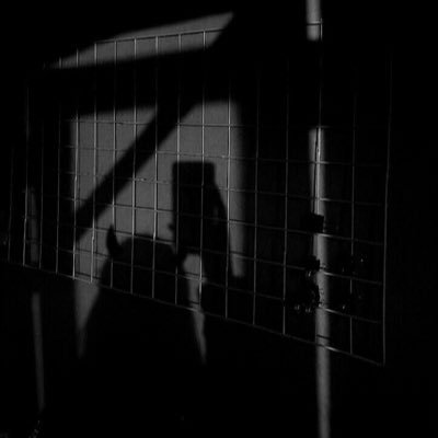 Profile Picture of Noelle  🐸 (@NoelDunham7) on Twitter