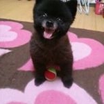 Profile Picture of 小松洋美 (@xiaosongyangmei) on Instagram