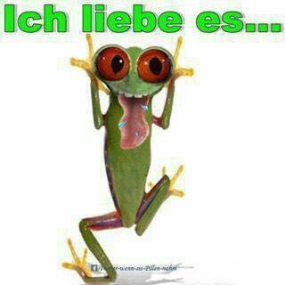 Profile Picture of Max Randa (@kikio_max) on Twitter