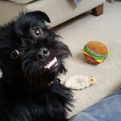 Fay Marley-Cook - Twitter Profile Picture of Fay Marley-Cook (@fayblesMC) on Twitter