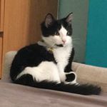 Profile Picture of Cleopatra Harris (@clecle.harris) on Instagram