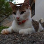 Profile Picture of Laura Patrón (@laurapw20) on Instagram