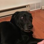 Dalton Lee Donohue - Instagram Profile Picture of Dalton Lee Donohue (@dalton_donohue) on Instagram