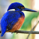 Profile Picture of Robert Wilson (@robert j wilson) on Flickr