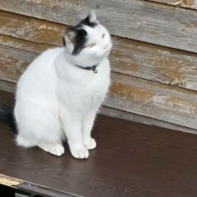 Profile Picture of Patrick Manboard (@patev65) on Twitter