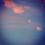 Profile Picture of lillian_lucasn (@lillian_lucasn) on Instagram