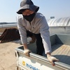 Profile Picture of Dae CHUNG (@@amusong) on Tiktok