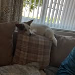 Profile Picture of Adrian Broom (@Adrian-Broom) on Facebook